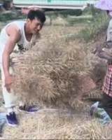 矣进宏干农活：当想要放弃的时候 想想为什么坚持到现在