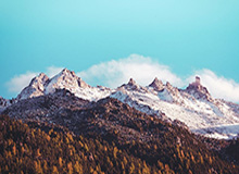 华体会官方：以专业守护每一次体育热情