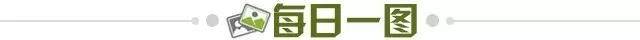 49ff3938-730b-4cab-896c-58f05f461073.jpg@!img01